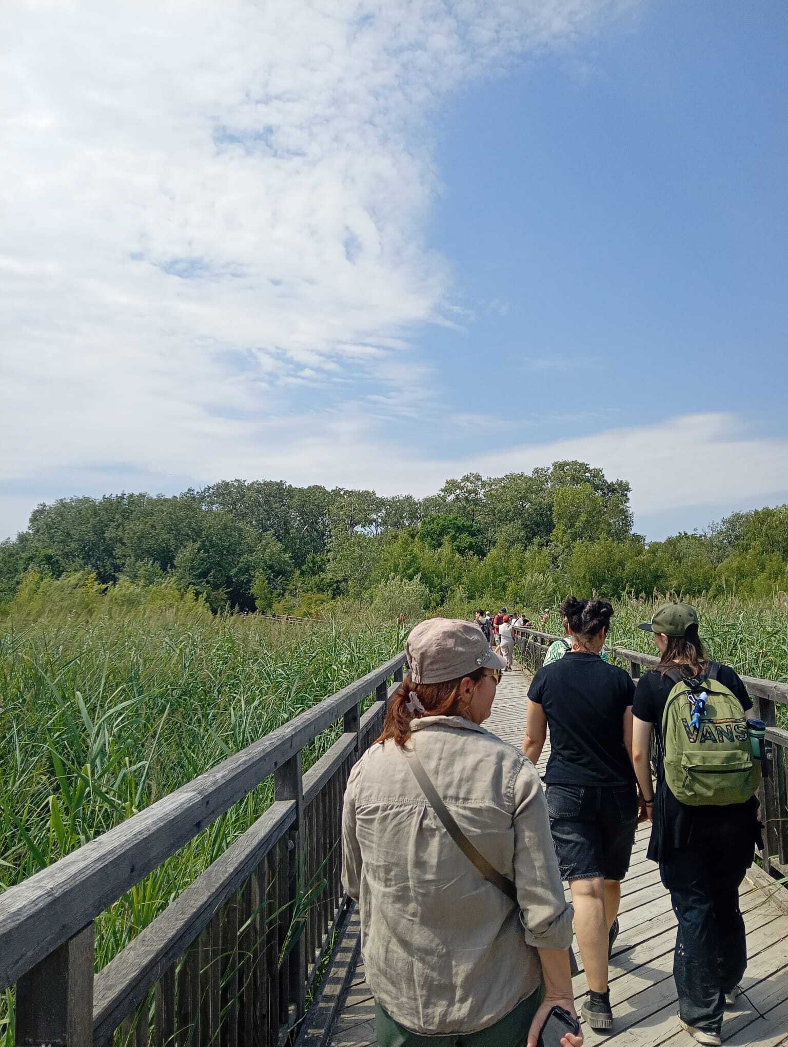 https://whoosh.wien/uploads/lobau.jpeg